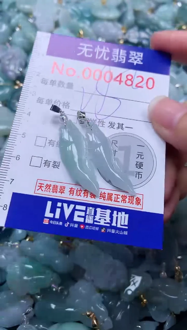 颈饰未镶嵌翡翠4820