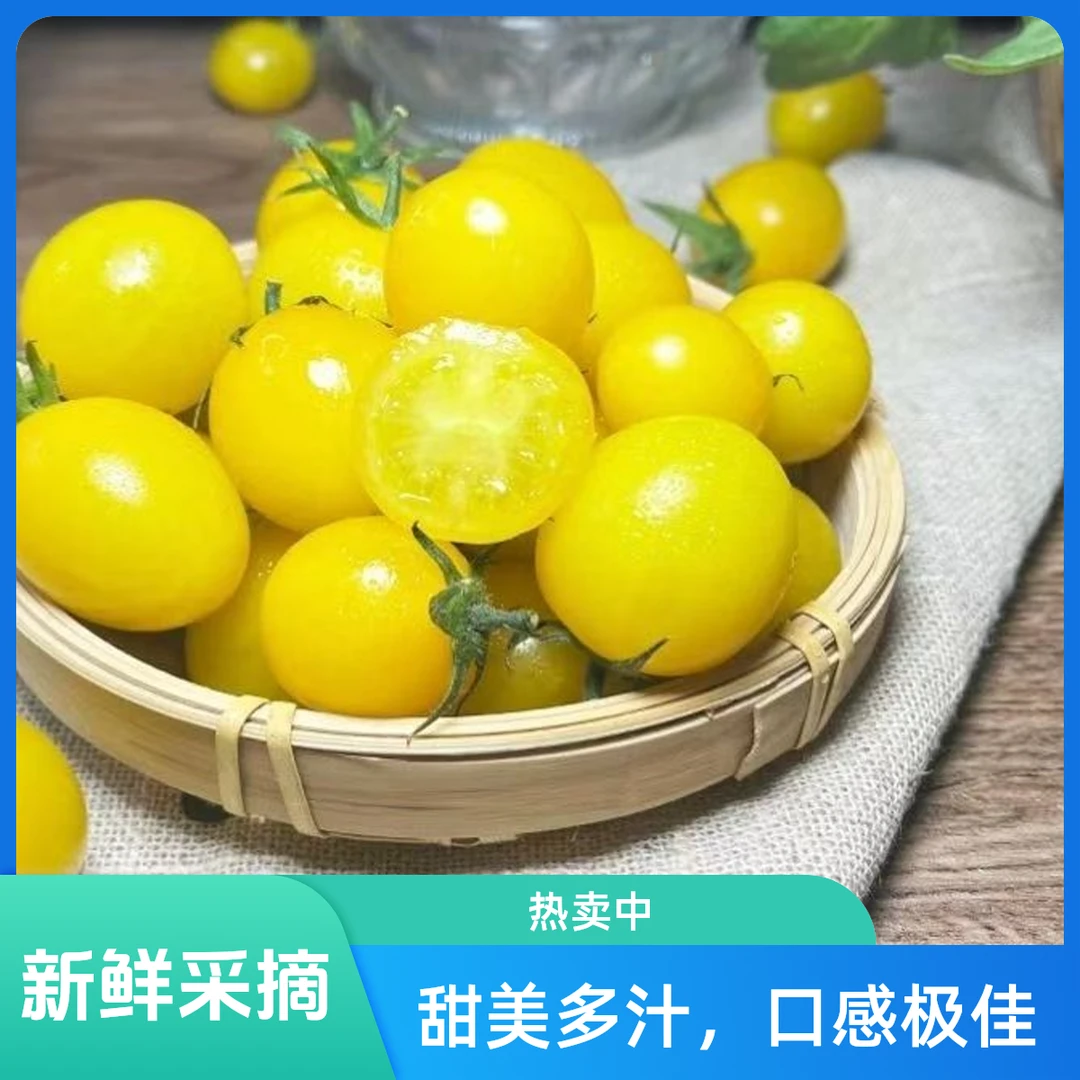 【3斤/5斤顺丰京东】正宗山东现摘新鲜金豆圣女果小番茄水果甜多汁C