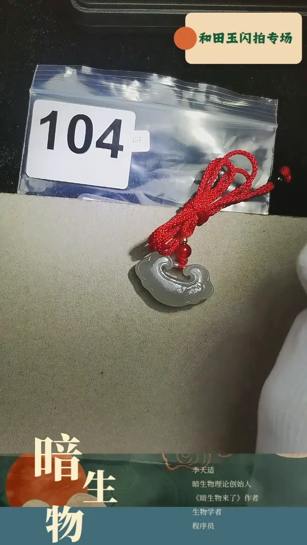 【闪购商品】和田玉吊坠(赠链)未镶嵌104