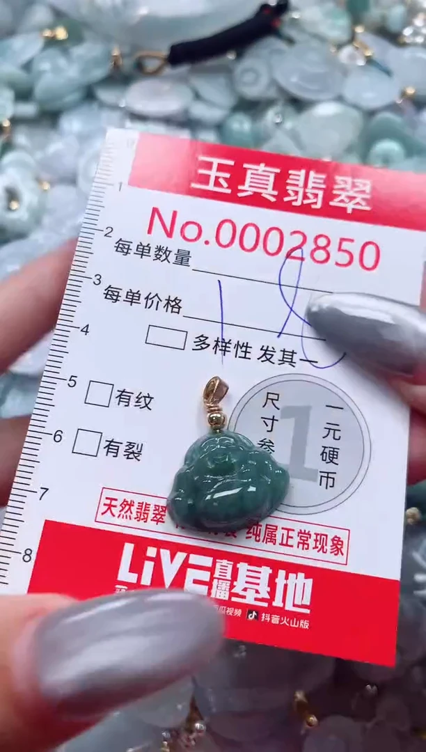 吊坠(不含链)未镶嵌翡翠2850
