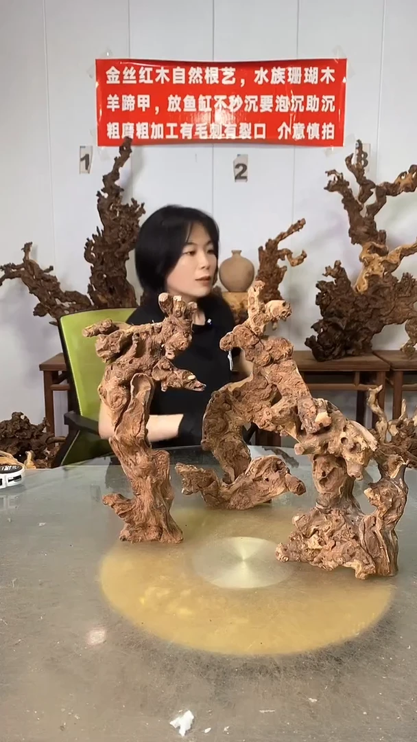 香榧木大*金丝红木 羊蹄甲