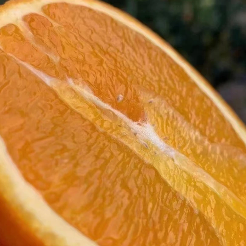 秭归脐橙纽荷尔长虹元红新鲜采摘零添加十斤包邮