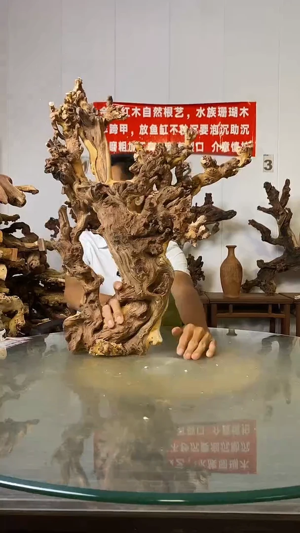 香榧木新****馆金丝红木   羊蹄甲