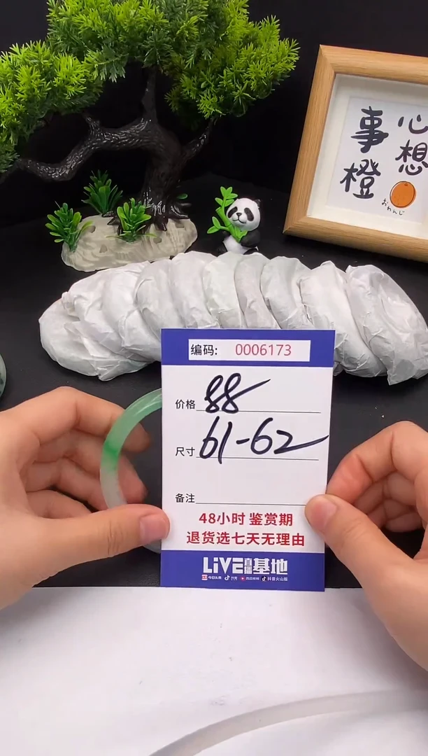 未镶嵌手镯翡翠0006173