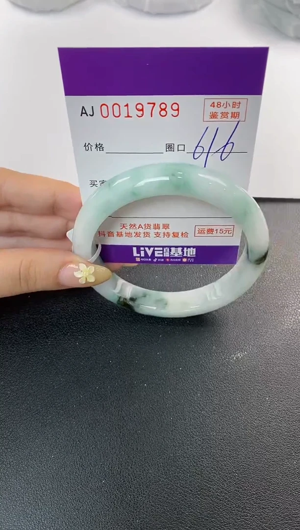 未镶嵌手镯翡翠天然A货翡翠