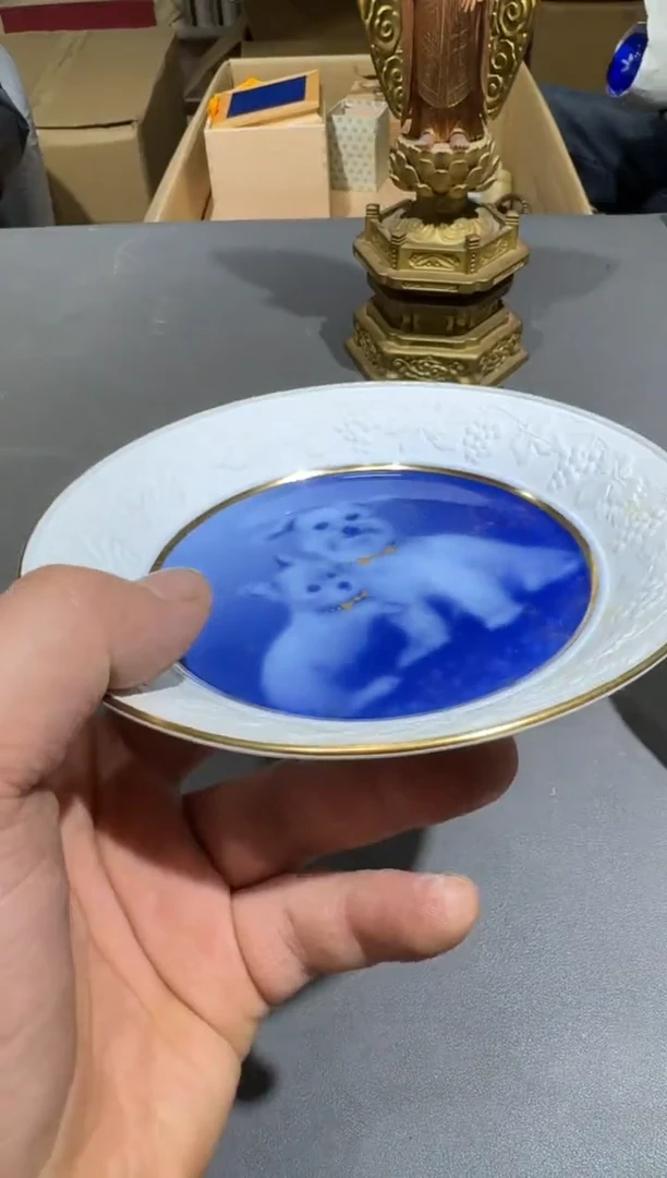 【闪购商品】杯小四孤品收藏中古品