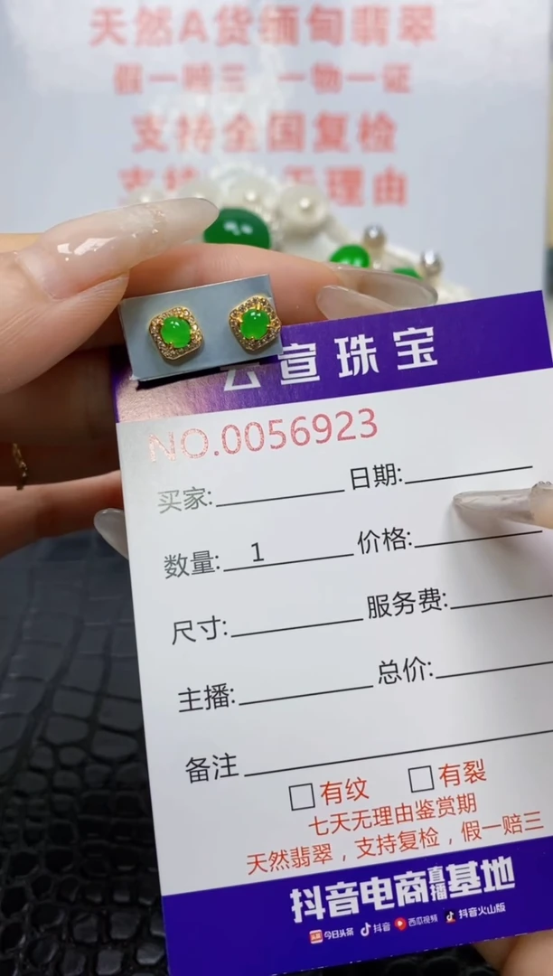 银S925镶嵌翡翠耳饰/6923