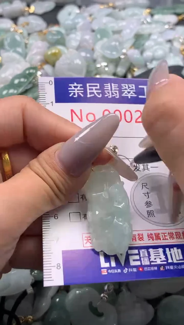 颈饰未镶嵌翡翠2455