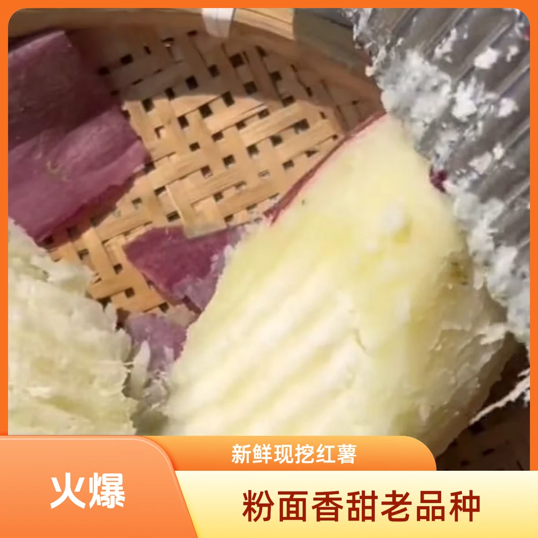 中果9斤装新鲜现挖白心板栗薯红皮地瓜粉面香甜老品种红薯