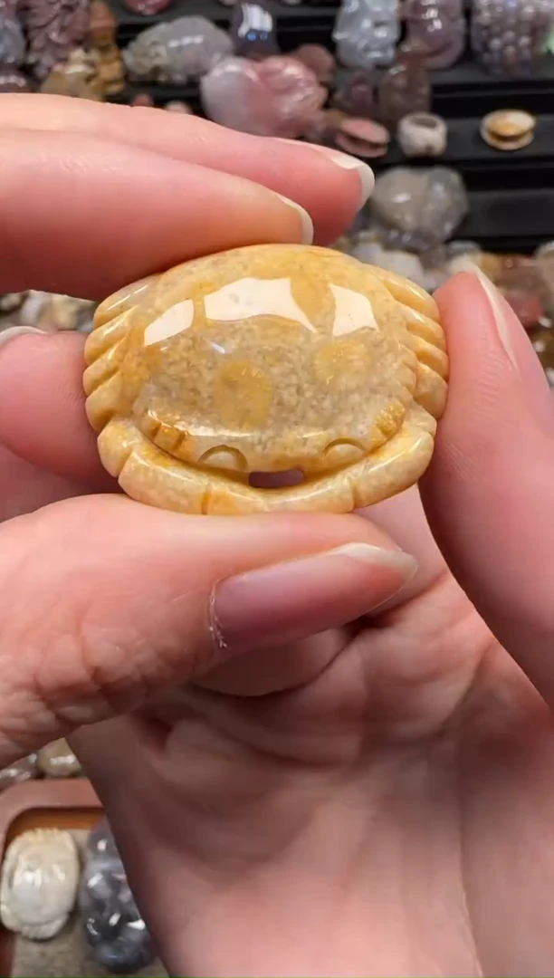 颈饰未镶嵌硅化珊瑚（珊瑚玉）595