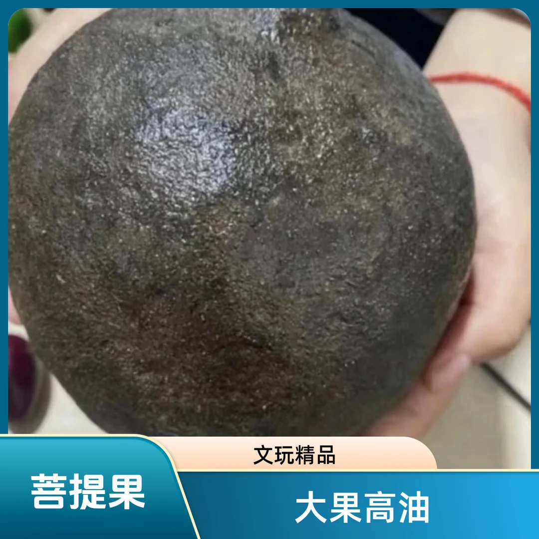 2号文玩菩提果：巨无霸果【高油高密】