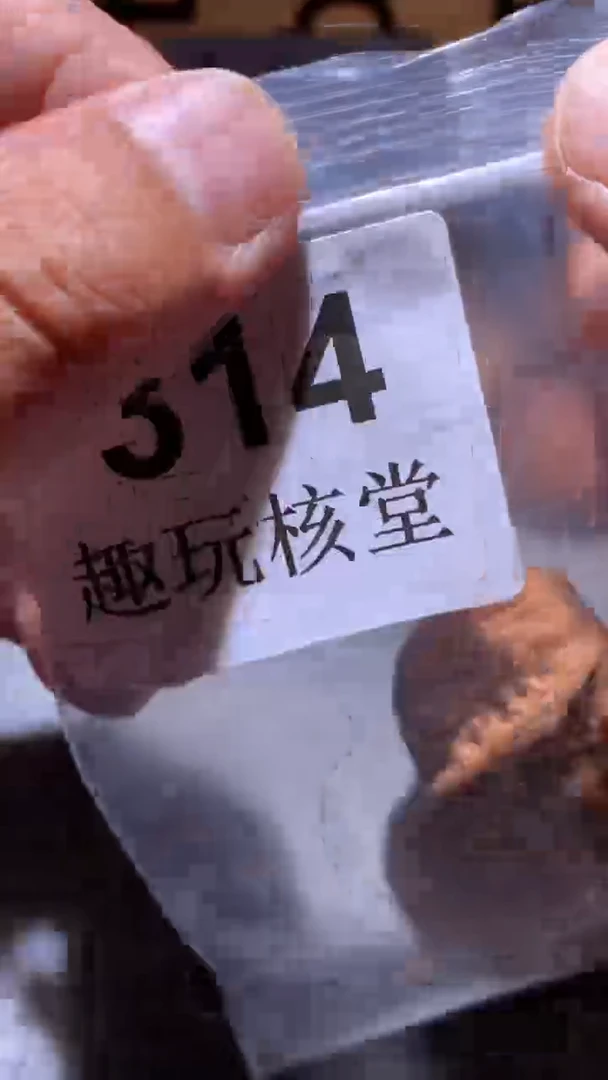 文玩核桃把件【趣玩核堂】833 号，35左右磨盘虚尖