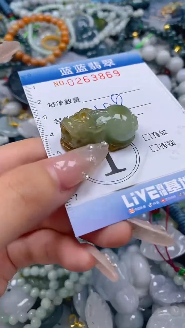 翡翠未镶嵌颈饰闪购0263869