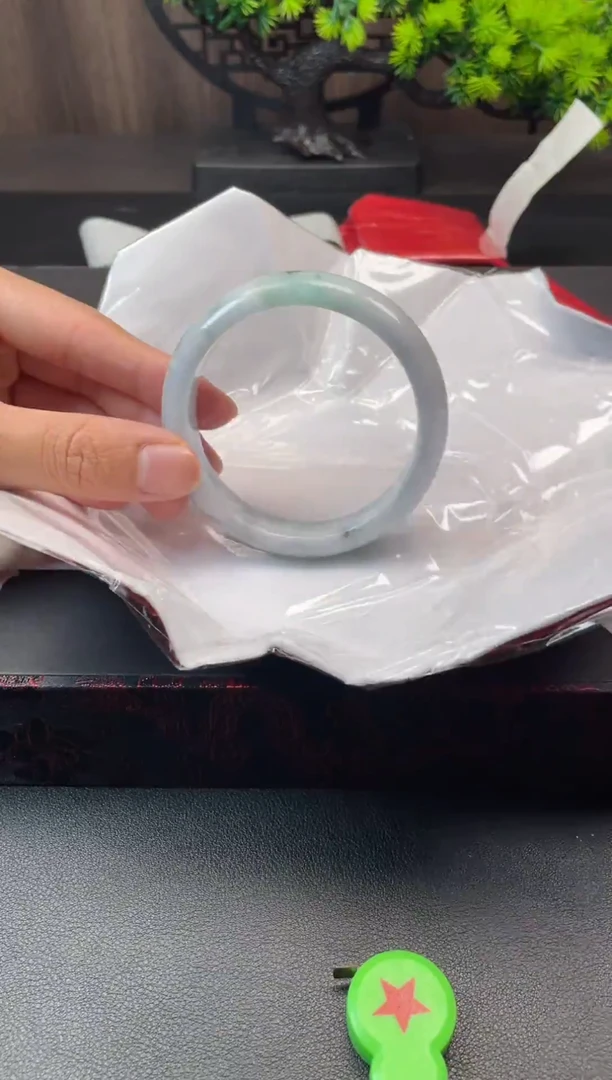 未镶嵌手镯翡翠669