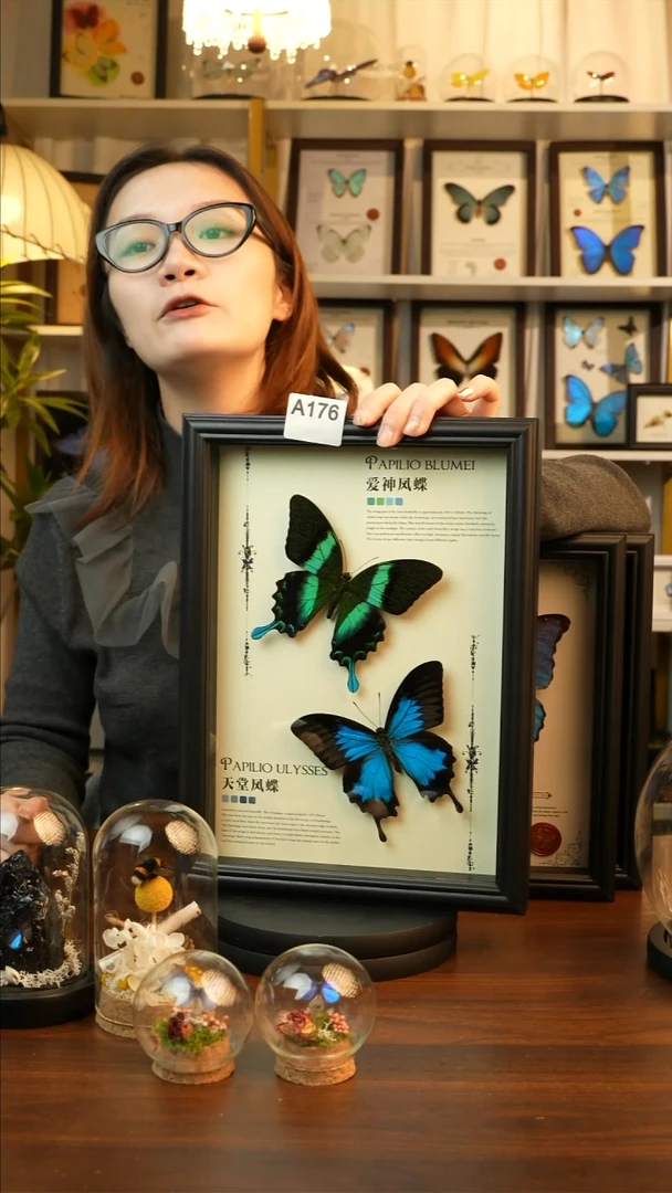 爱神凤蝶天堂凤蝶组合款(A4欧式黑框)A176