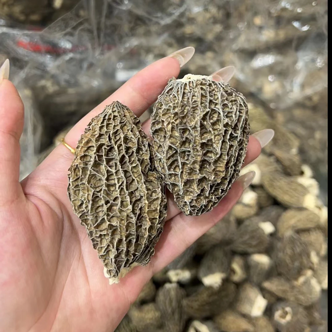 【阿梅滋补行】羊肚菌  鱼胶好搭档