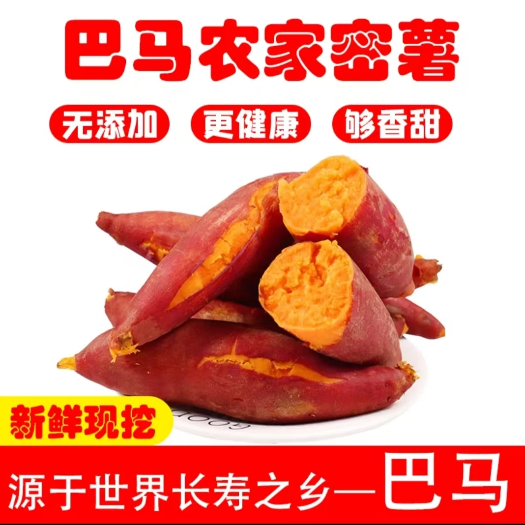 巴马长寿之乡农家高山种植红薯 5斤10斤装带箱