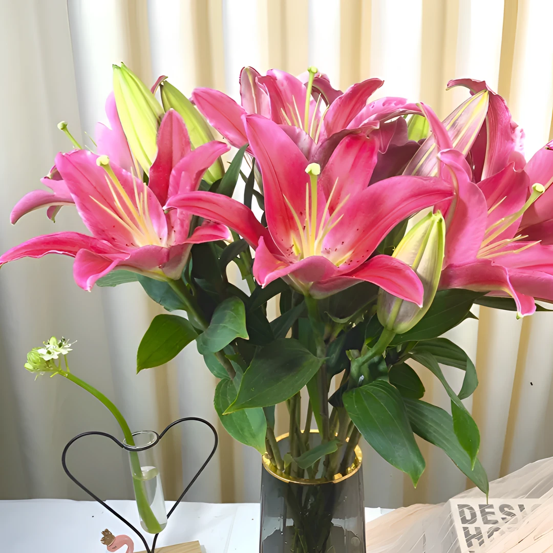 【银座鲜花】西诺红-红百合原装整扎10支每扎2单包邮鲜切花家居花生活鲜花