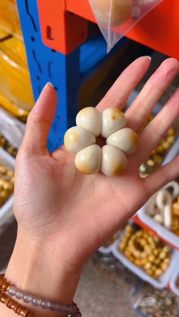 吊坠菩提根/象牙果炭烤山竹蒜瓣手捻