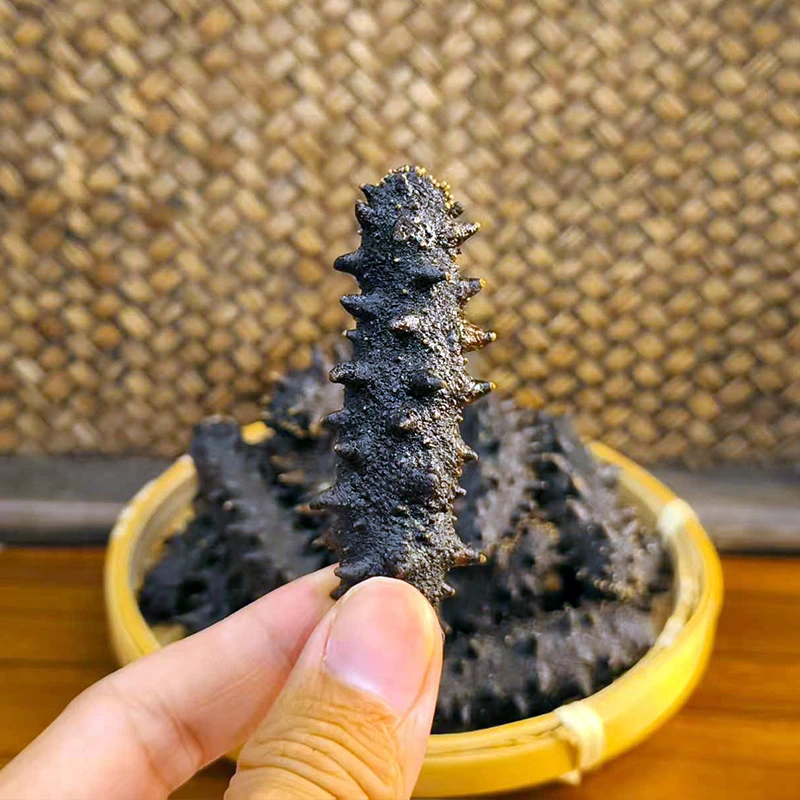 富姐严选好参淡干辽参海产足干干货可佛跳墙大连海参送长辈送亲戚