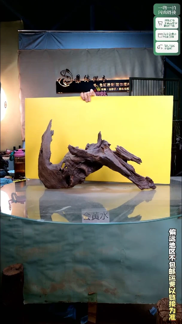 F****g景沐沉木C991 61-20-37