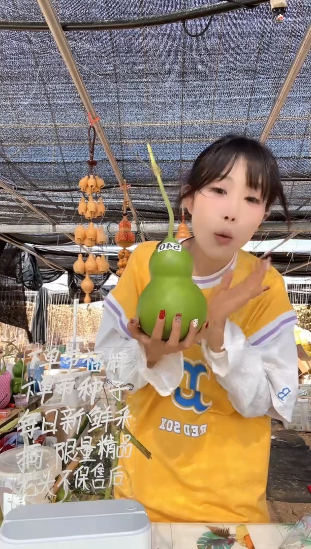 540天然葫芦摆件 一物一拍龙头不保售后