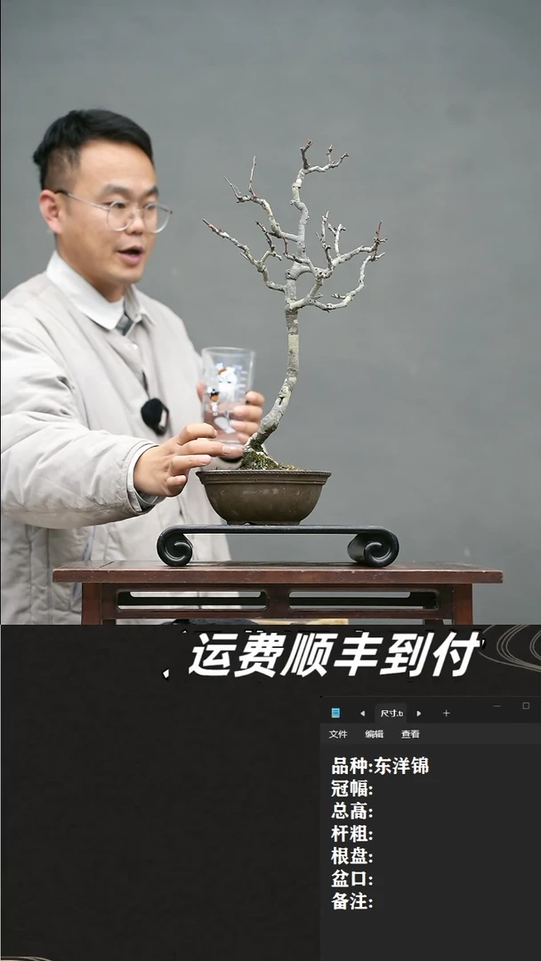 【闪购商品】3  东洋锦