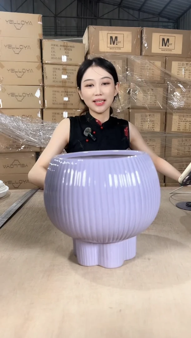 宝莲灯淡紫色17x20