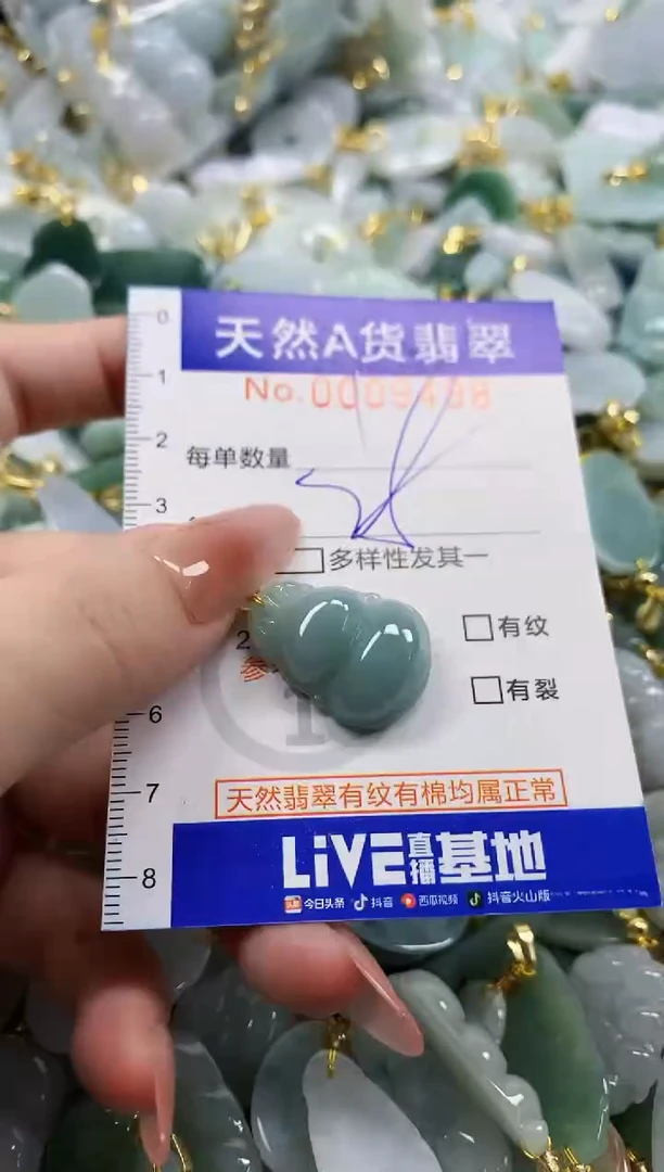 颈饰未镶嵌翡翠天然A货翡翠