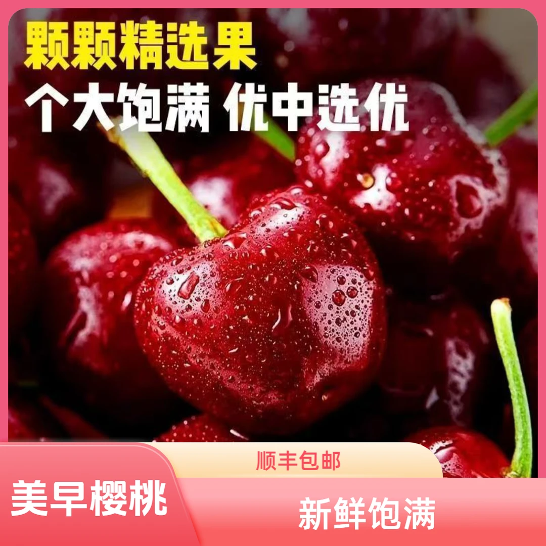 【次日达】美早樱桃 新鲜采摘果肉爆满【5斤装】顺丰包邮新鲜水果现货直发美早美早樱桃8J ZY美早樱桃
