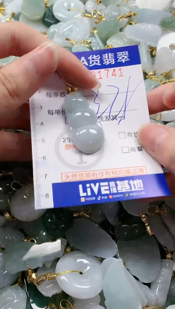颈饰未镶嵌翡翠纯天然a货翡翠