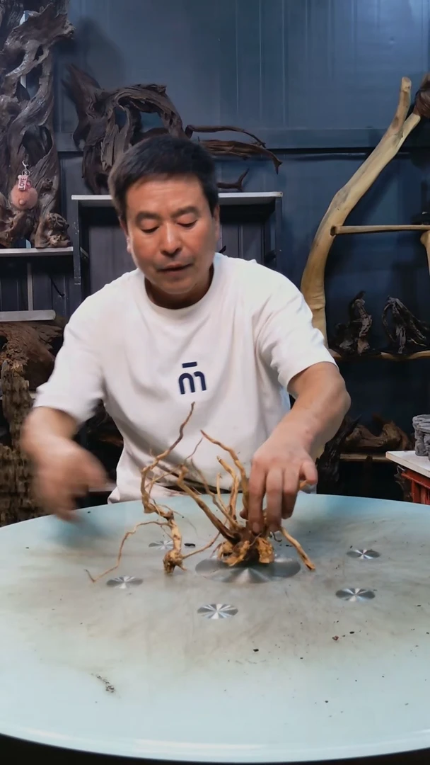 455清香阁清香阁清香阁