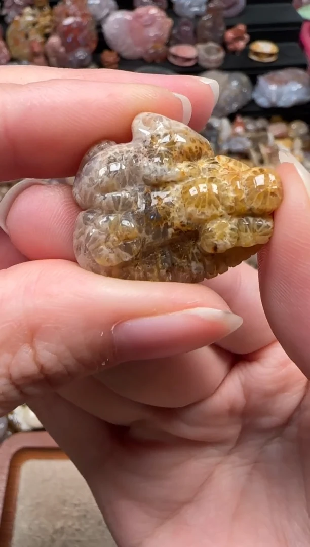 颈饰未镶嵌硅化珊瑚（珊瑚玉）746