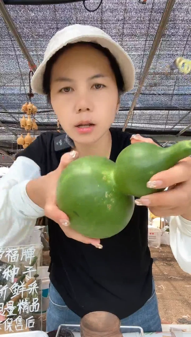 924天然葫芦摆件 一物一拍龙头不保售后微瑕疵