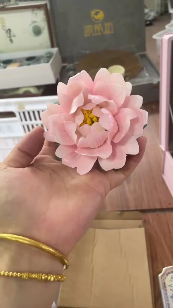 丽丽丽丽丽丽丽丽46