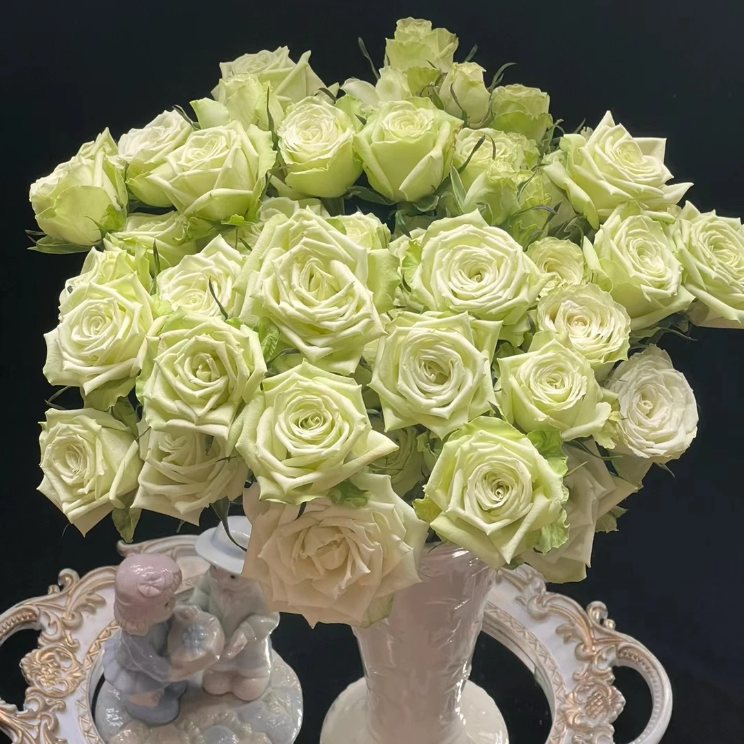 【云舍花卉】【薄荷茶】多头玫瑰 全场任意满两单及以上鲜花包邮发货