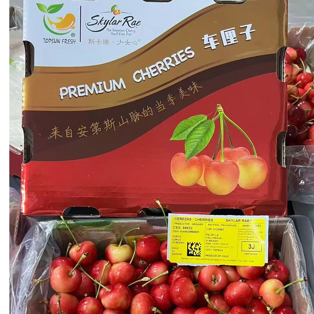 空运小虎鲸斯凯拉雷智利进口车厘子J-4内附果径卡天空之城顺丰包