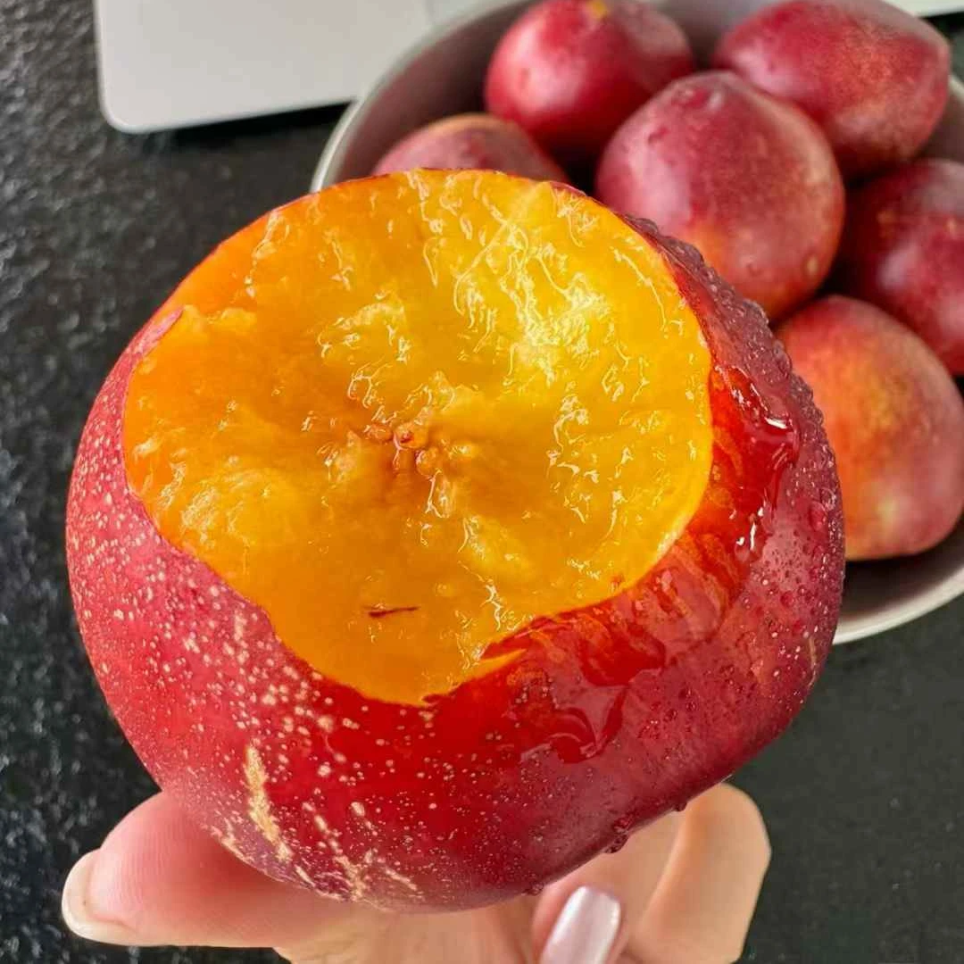 【果老板】油桃6个（850克左右）桃子同城送山东省