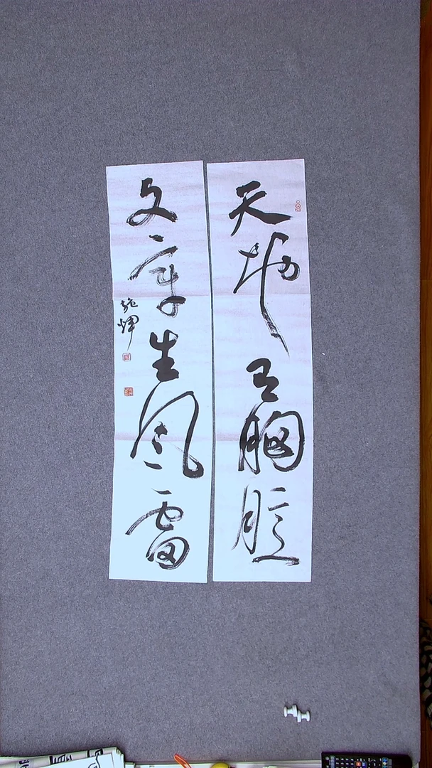书法施辉 江西新余100*23*2