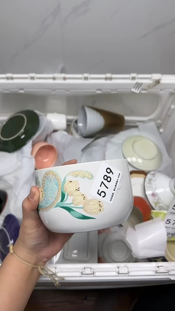 【闪购商品】5789回流瓷器默认微瑕，18.8包邮