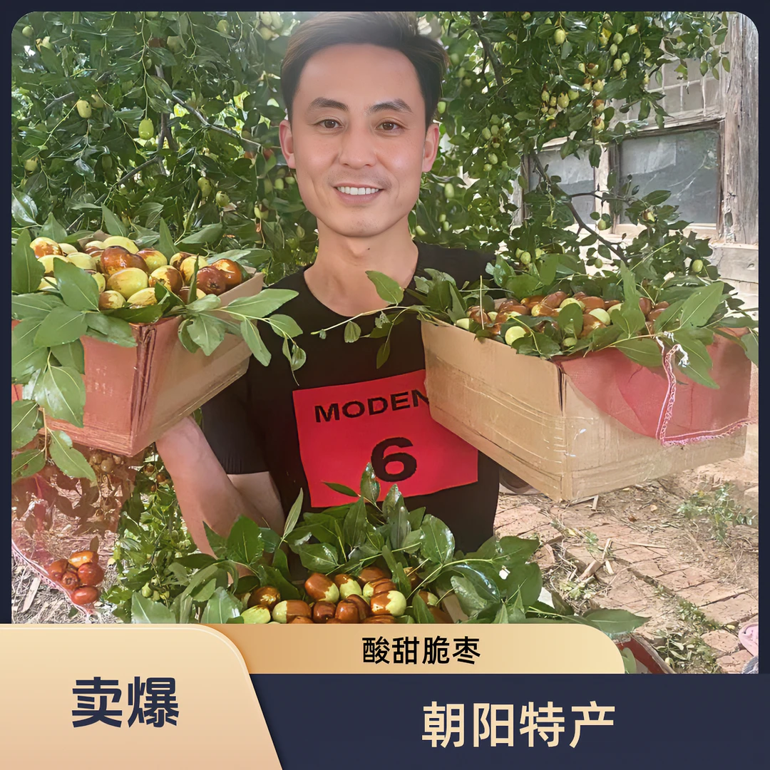 朝阳孙家湾大枣  鲜枣 脆枣