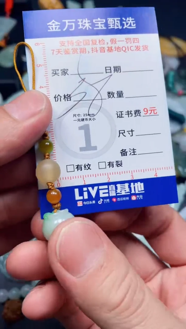 【闪购商品】翡翠项圈未镶嵌天然翡翠a货