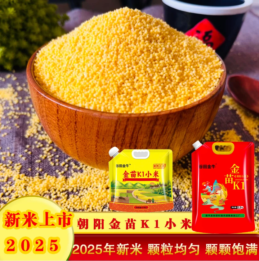 【老嫂子推荐】2025新米谷田金牛辽宁朝阳金苗K1小米可捞饭