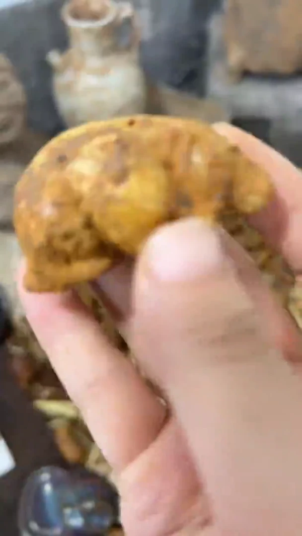 未镶嵌和田玉挂件配饰摆件8888888888