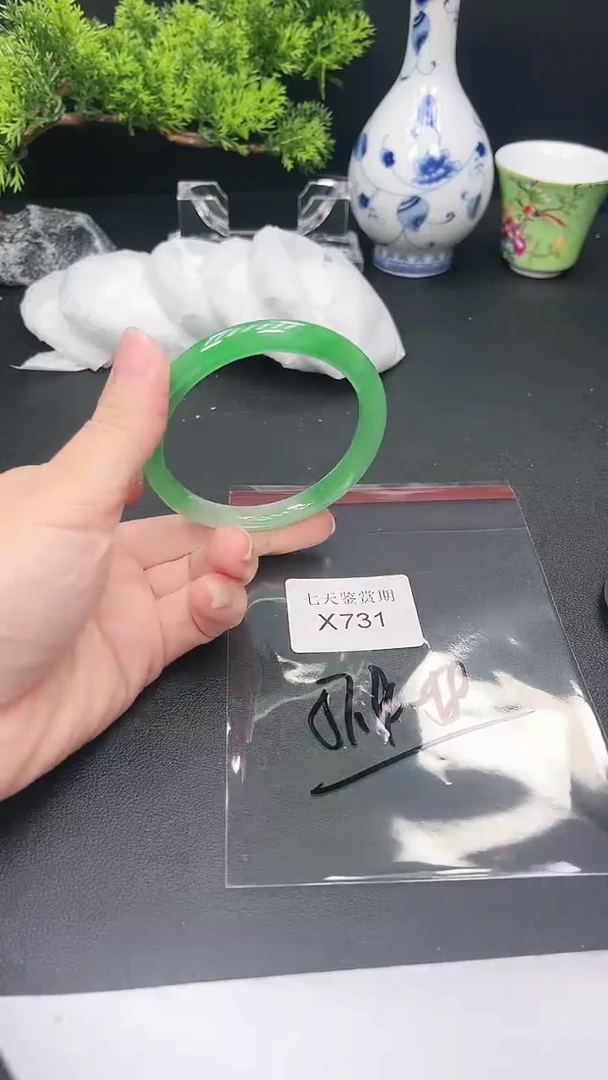 未镶嵌手镯翡翠731