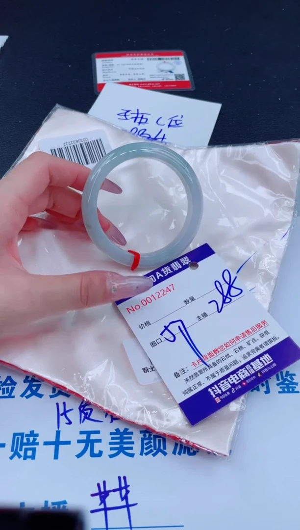 未镶嵌手镯翡翠288
