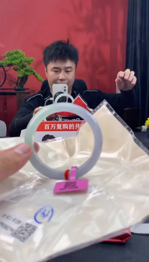 未镶嵌手镯翡翠4