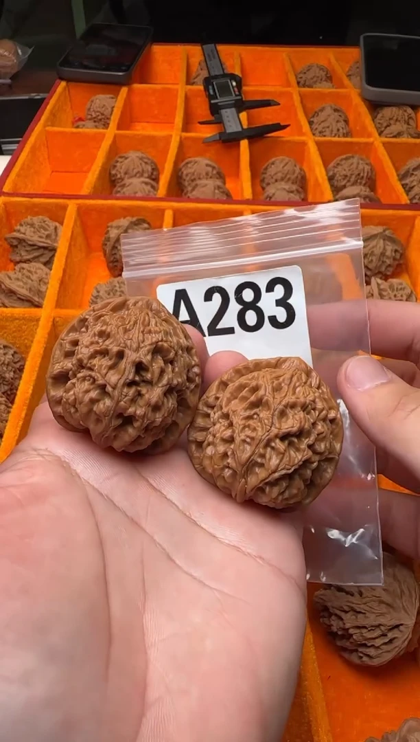 吊坠文玩核桃水龙纹41-A283