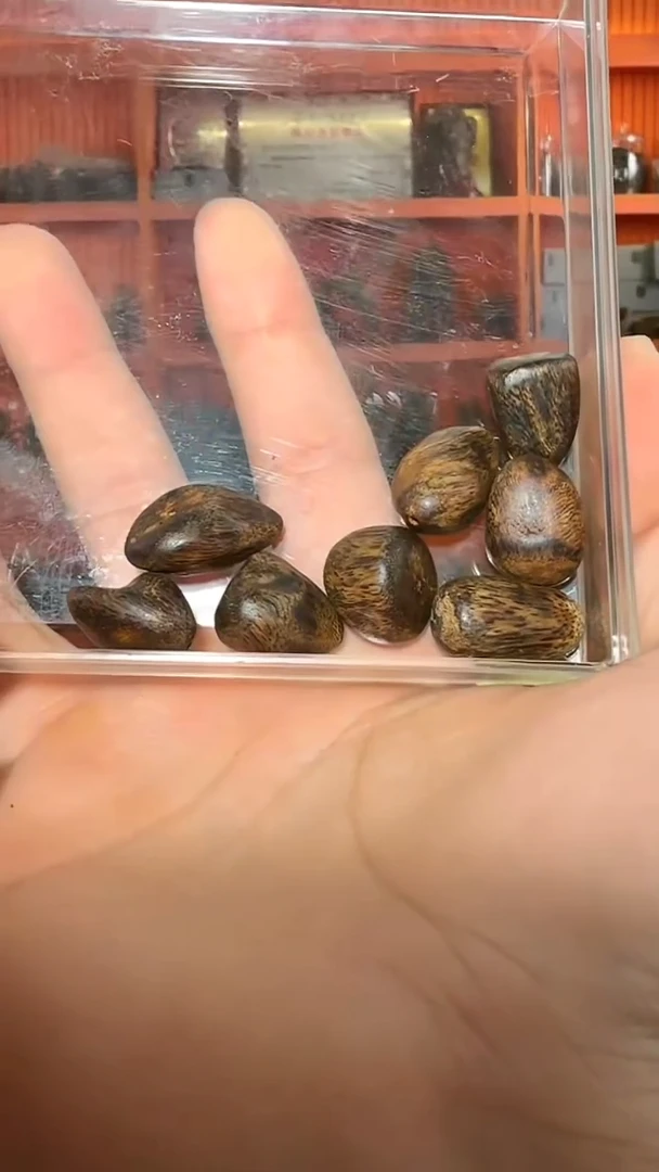 沉香吊坠113号已打孔瘤疤17g8粒多样性发一