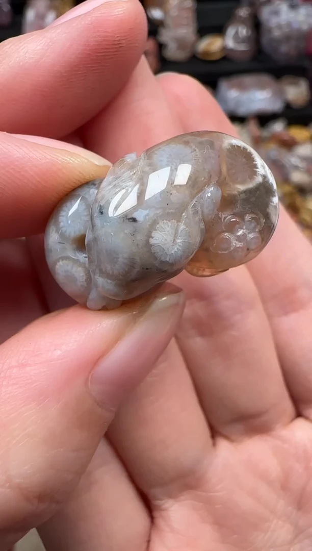 颈饰未镶嵌硅化珊瑚（珊瑚玉）328